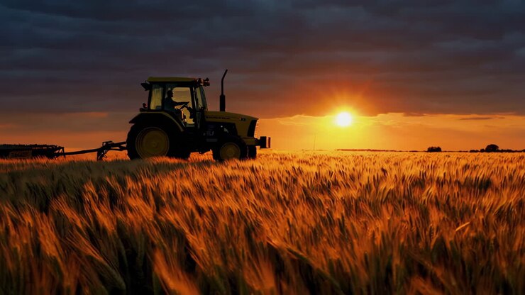 Tractor in a Golden Wheat Field at Sunset
