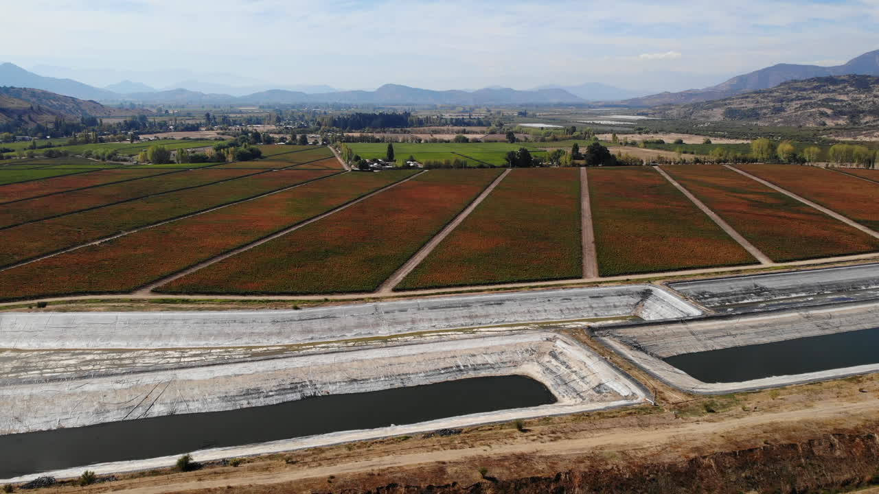 Aerial View of Vineyard Landscape with Reservoir
