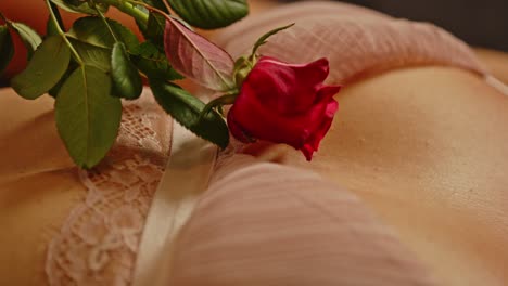 Eine-Wunderschöne-Rote-Rose-Streichelt-Sinnlich-Den-Sexy-Körper-Einer-Jungen-Frau-In-Sinnlicher-Rosa-Dessous