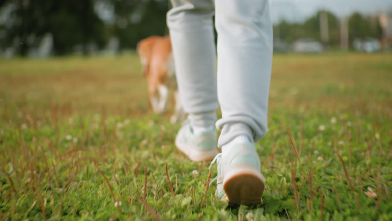 Female athlete jogging on football court with pet dog blurred background view from behind close up of sneakers on grassy field sunny weather casual workout in open nature energetic and playful scene