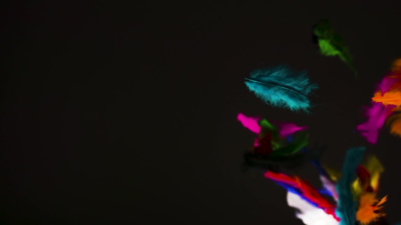 Farverige fjer hvirvler og svæver i slowmotion