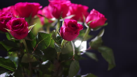 Manojo-Giratorio-De-Flores-De-Rosas-Rosadas-Con-Pétalos-Húmedos-Y-Hojas