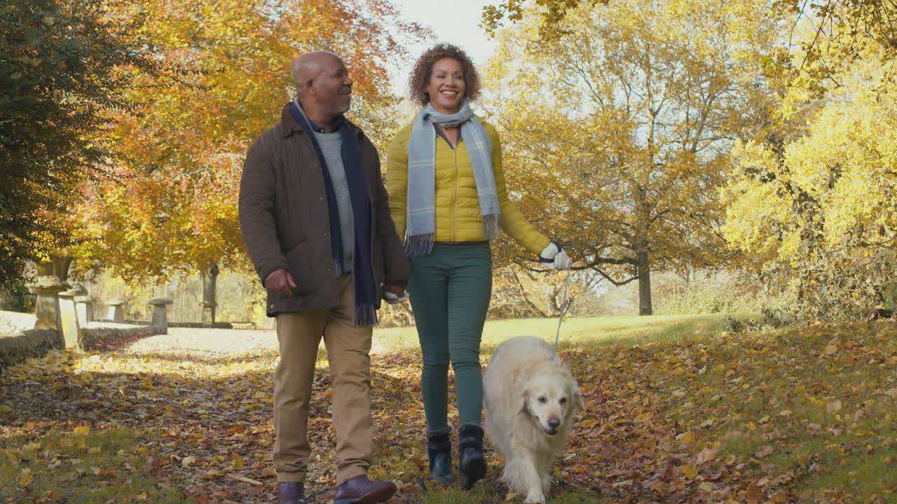 una pareja de ancianos con un perro golden retriever de mascota caminando en el campo de otoño