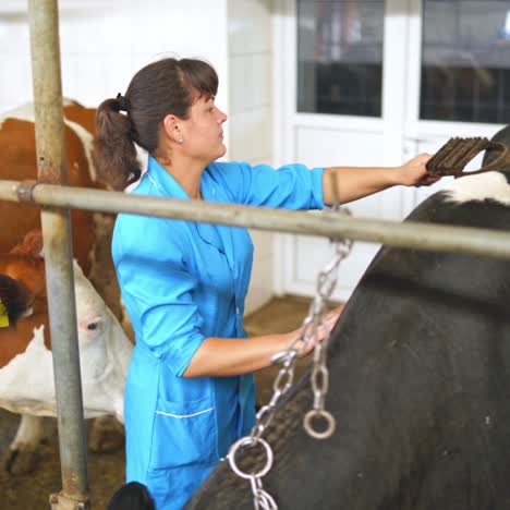 production of dairy products