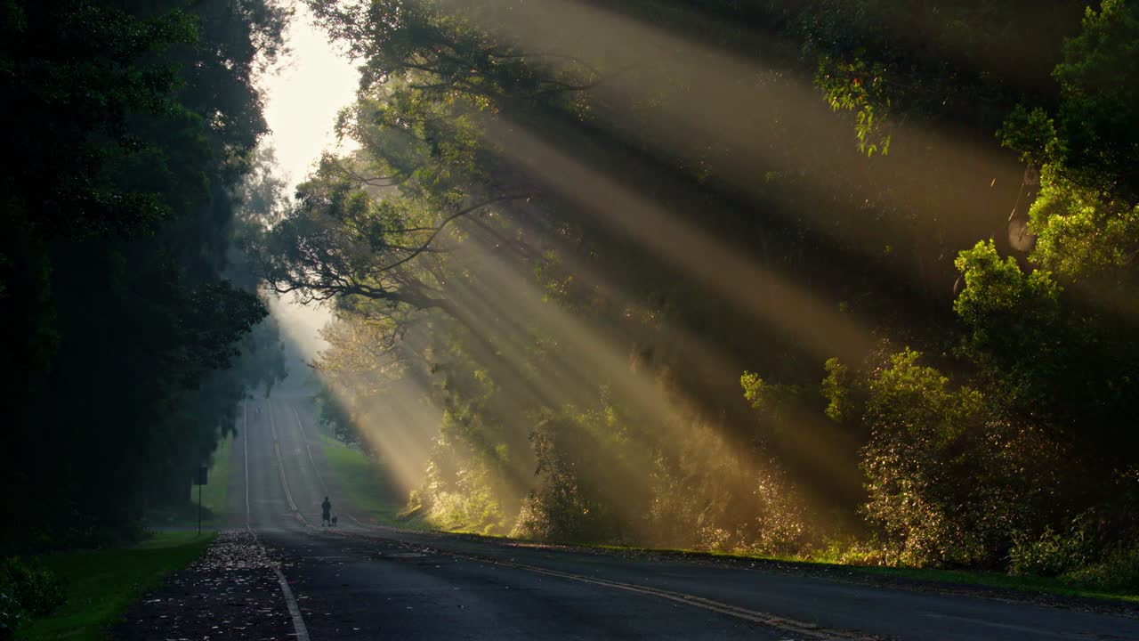 los rayos del sol brillan maravillosamente en una carretera o carretera