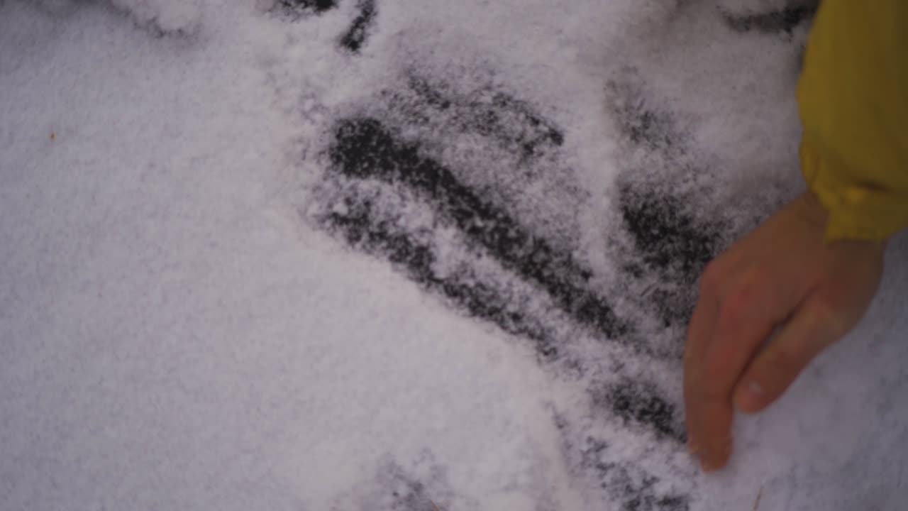 Person cleaning the snow with hand from the ground. Winter hiking adventure.