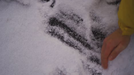 person cleaning the snow with hand from the ground. winter hiking adventure.