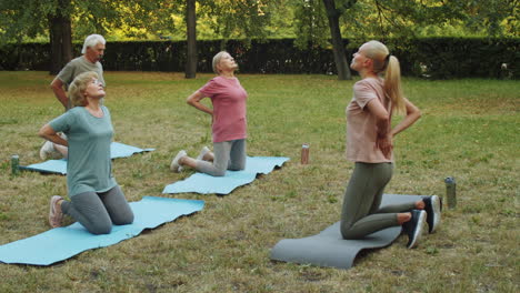 elderly people having outdoor yoga practice in park