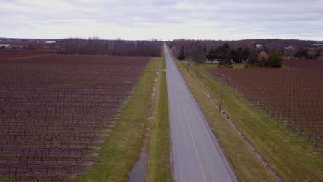 aerial flying over a country highway surrounded by vineyards