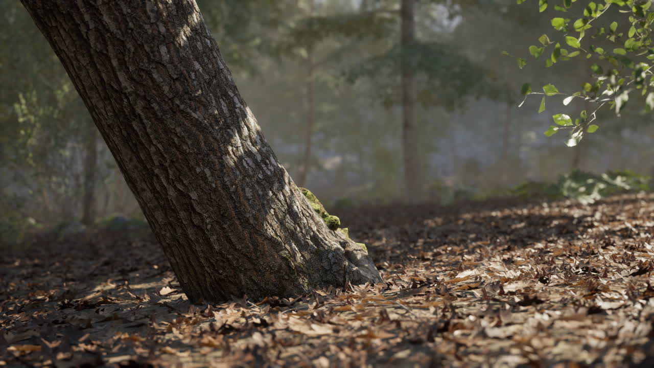 A leaning tree surrounded by autumn leaves in a tranquil forest setting