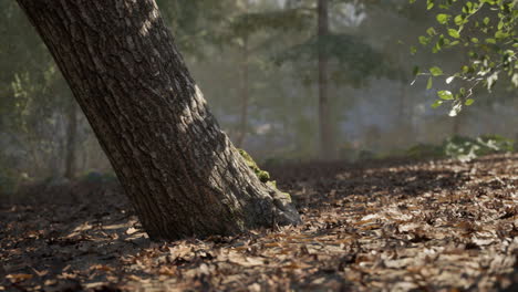 a leaning tree surrounded by autumn leaves in a tranquil forest setting