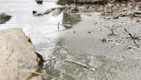 Sanfte-Wellen-Beruhigen-Das-Ufer-Mit-Trockenen-Zweigen,-Die-Auf-Dem-Sand-Verstreut-Sind,-Aus-Nächster-Nähe