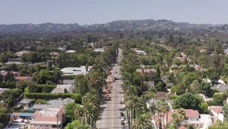 aerial wide shot flying over palm tree-lined streets in beverly hills, california