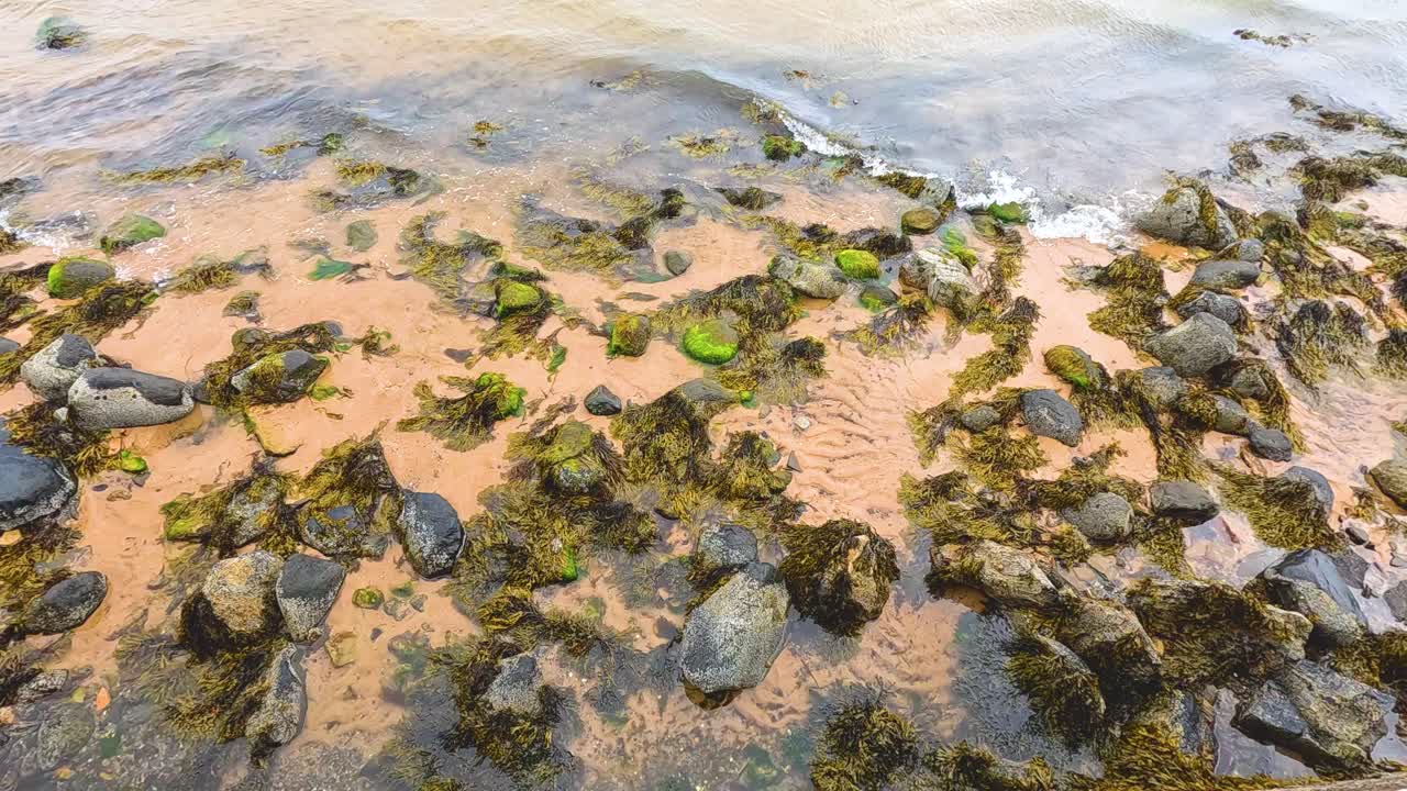 olas suaves moviéndose sobre rocas y arena