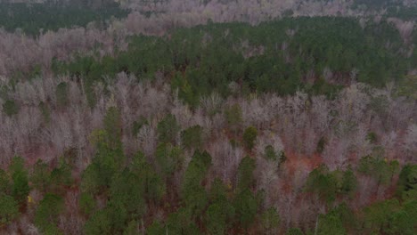 Aerial-of-wooded-forest-area-in-Eatonton,-Georgia