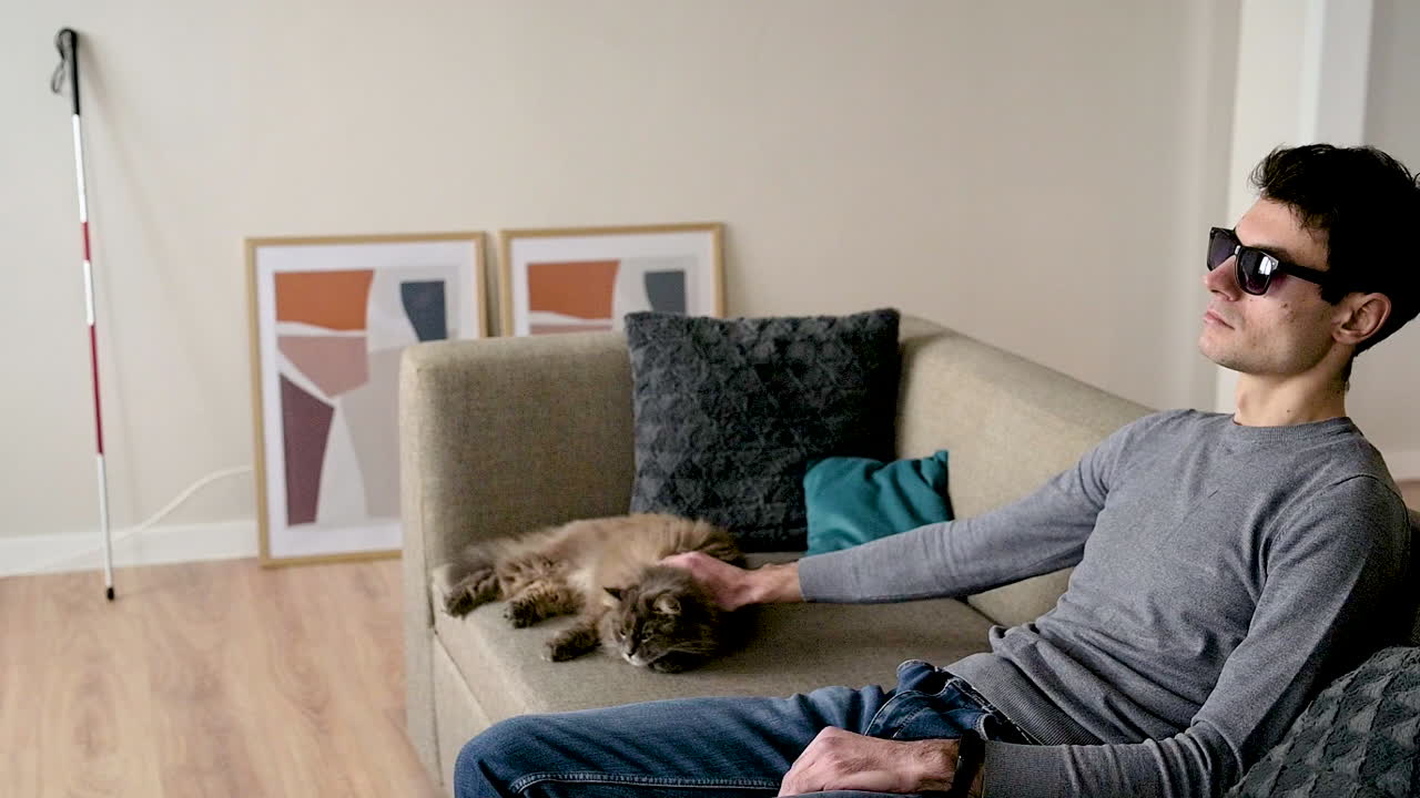 집에 있는 소파에 앉아 고양이를 쓰다듬는 선글라스를 쓴 맹인의 옆모습 2