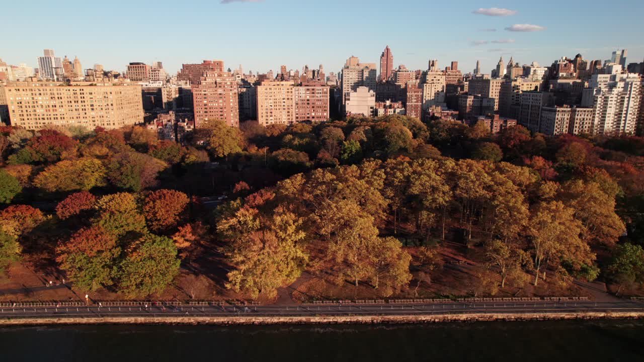 Aerial View of New York City Park in Autumn