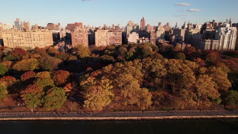 aerial view of new york city park in autumn