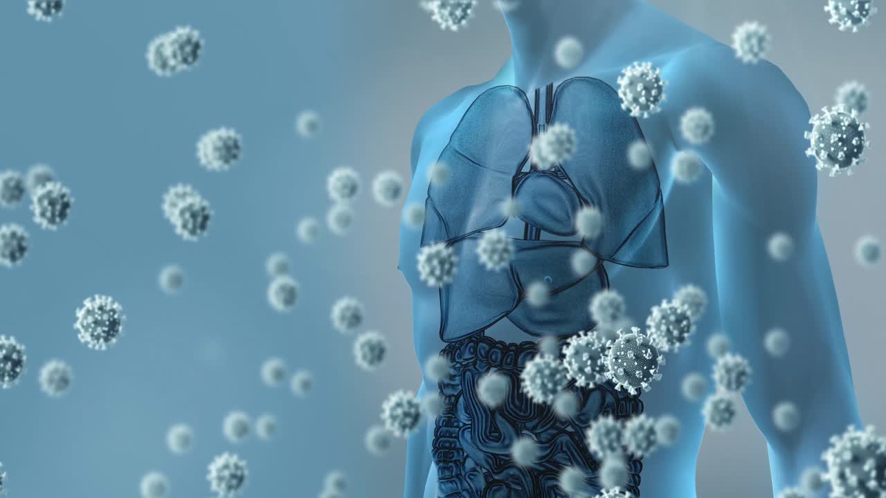 animación de células de virus que caen sobre el modelo del cuerpo humano
