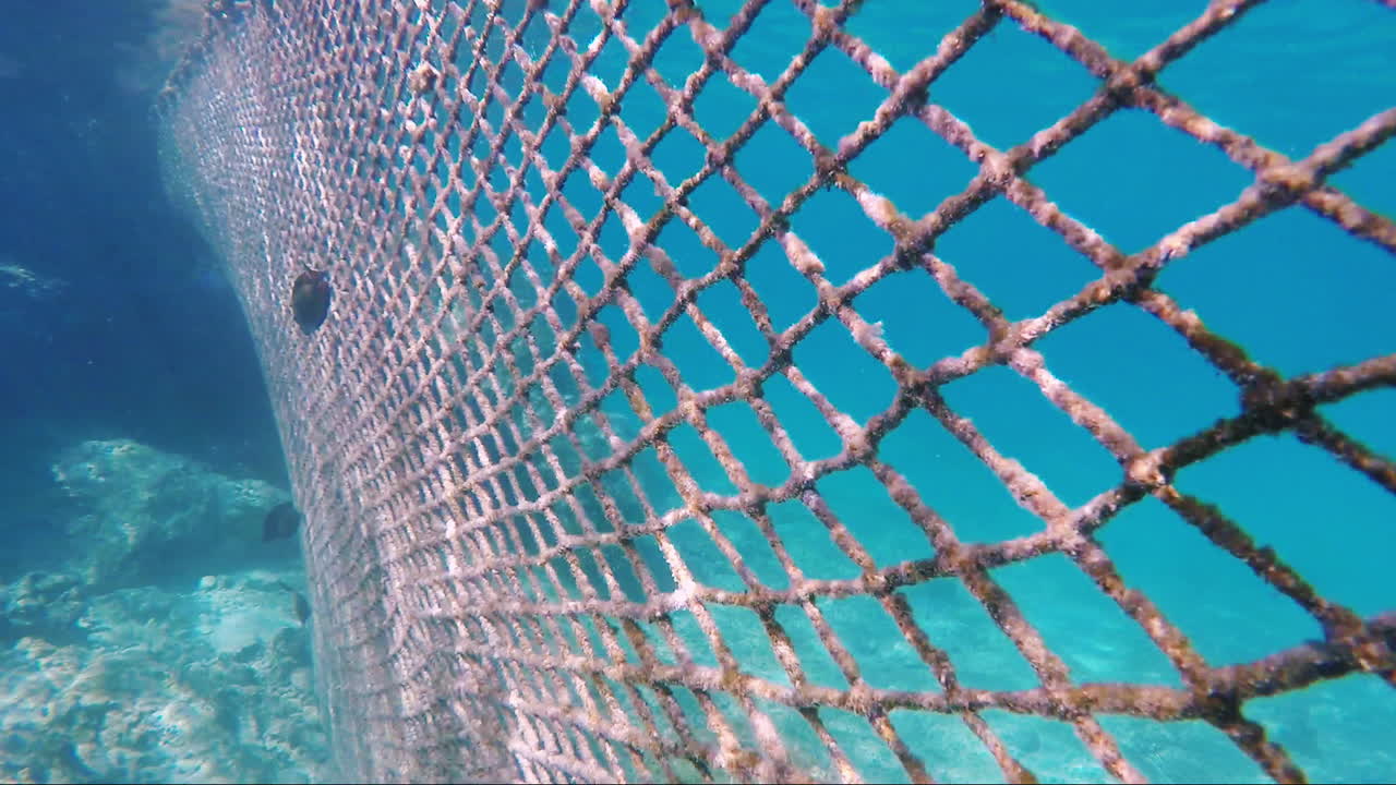 휴가객과 함께 물고기가 리조트에 들어오는 것을 방지하는 메쉬