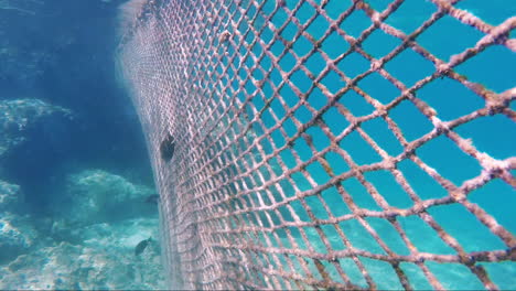 malla para evitar que los peces entren en el resort con los turistas