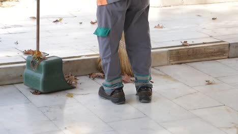 a person sweeping leaves in the street