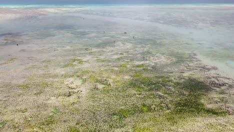 Aerial View of a Stunning Coral Reef with People in Shallow Turquoise Water