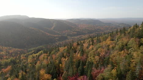 Herbstfarben-Per-Drohne-In-Quebec