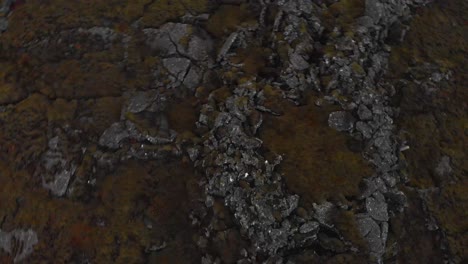 Inhospitable-nordic-reserve-with-jagged-lava-formations-and-moss-rocks