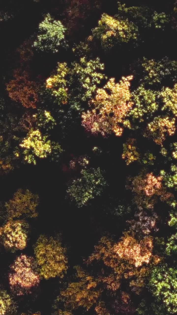 Golden forest canopy foliage with rich autumn colour and soft texture vertical background
