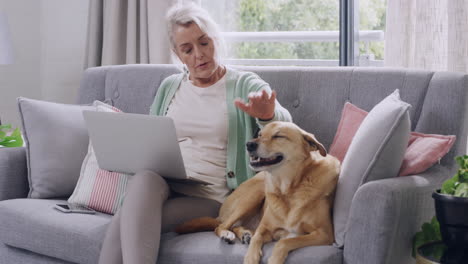 senior woman petting her mixed breed dog