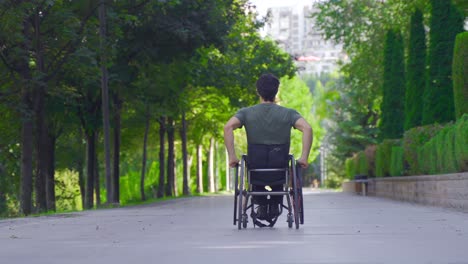 adult man in a wheelchair goes along the road.