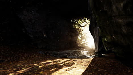 a mysterious cave entrance in a forest, bathed in sunlight