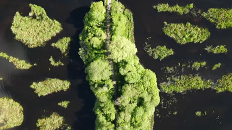 Directly-above-the-green-canopy-of-trees-on-a-footpath-in-the-middle-of-the-black-water