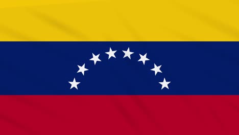 venezuela flag waving cloth, background loop