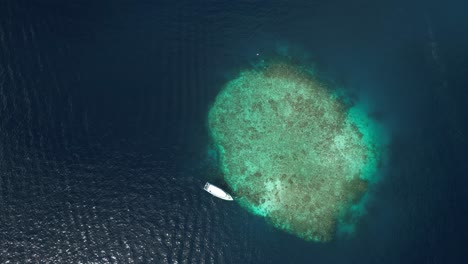 aerial view of a boat near a coral reef in the ocean