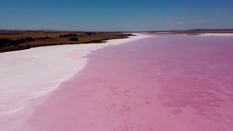 aerea apaisada farm land drone pink salt lake lago bumbunga adelaide port augusta viaje naturaleza turismo sur australia 4k