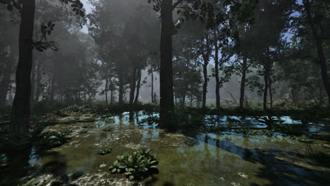 autumn sunny day in the swamp