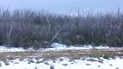 An-old-abandoned-hut-in-the-snow-and-dead-gum-trees-in-Australias-alpine-wilderness