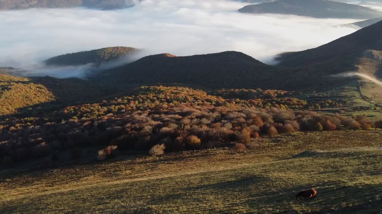 vuelo de drones sobre mar de nubes