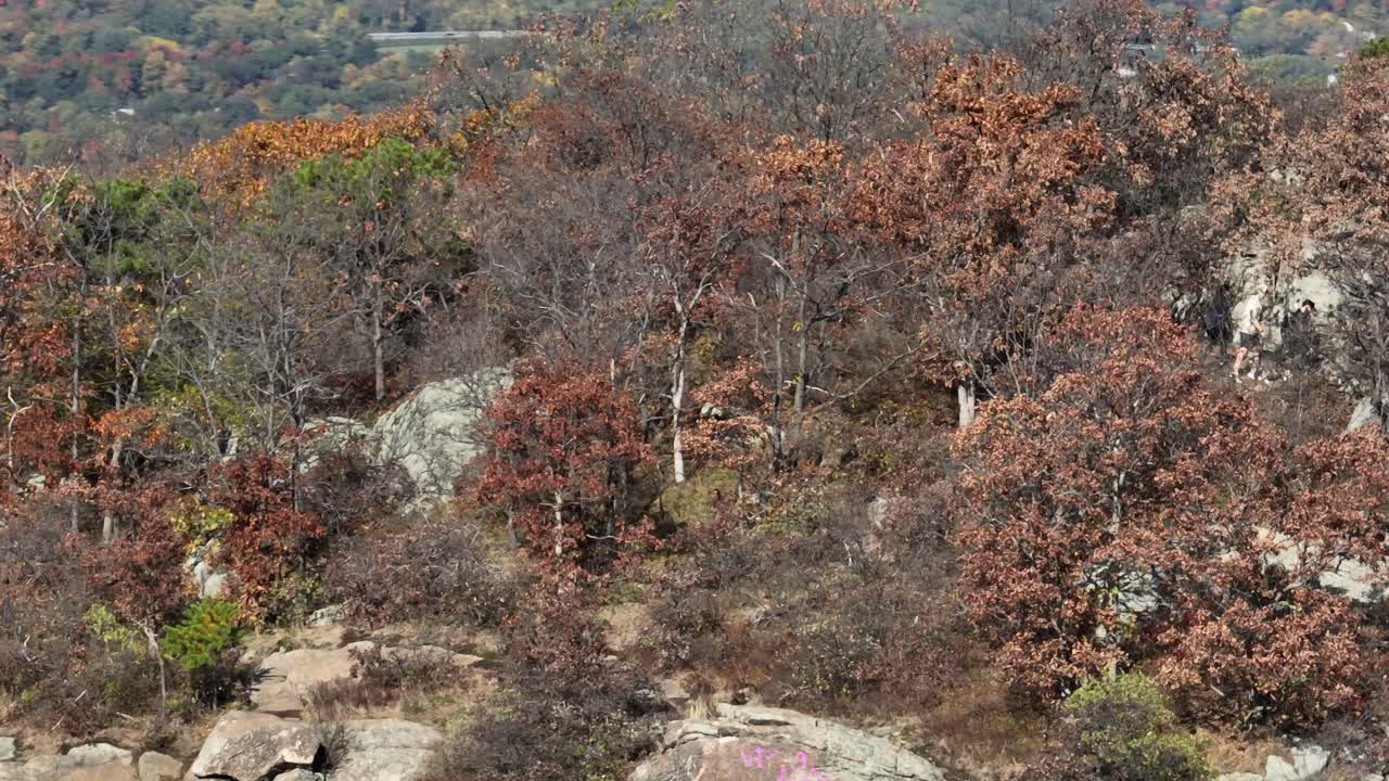 вид с воздуха над горами на севере штата нидерланды во время смены осенней листвы в прекрасный день