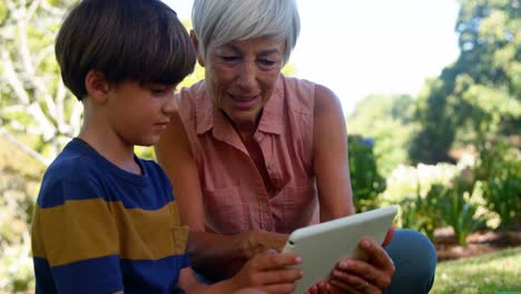 Großmutter-Und-Enkel-Nutzen-Digitales-Tablet-Im-Park-4k