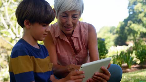 abuela y nieto usando tableta digital en el parque 4k
