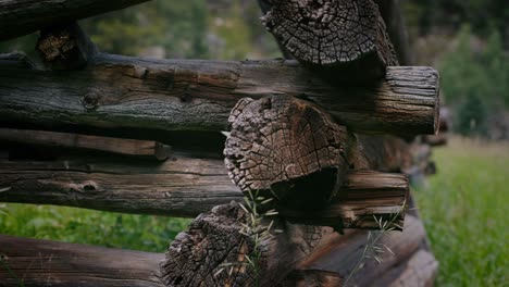 un paso en la historia con imágenes cautivadoras de las ruinas de una vieja cabaña ubicada en el paisaje de colorado