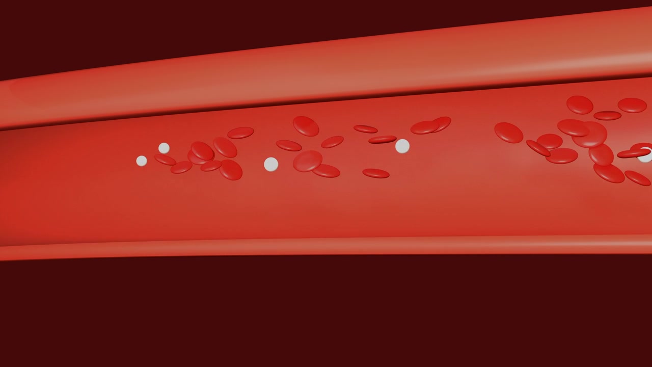 Dynamic 3D animation zooming inside a human artery, showing vivid red blood cells and plasma moving against a smooth vessel wall. Medical concept, clean lighting, no people visible.