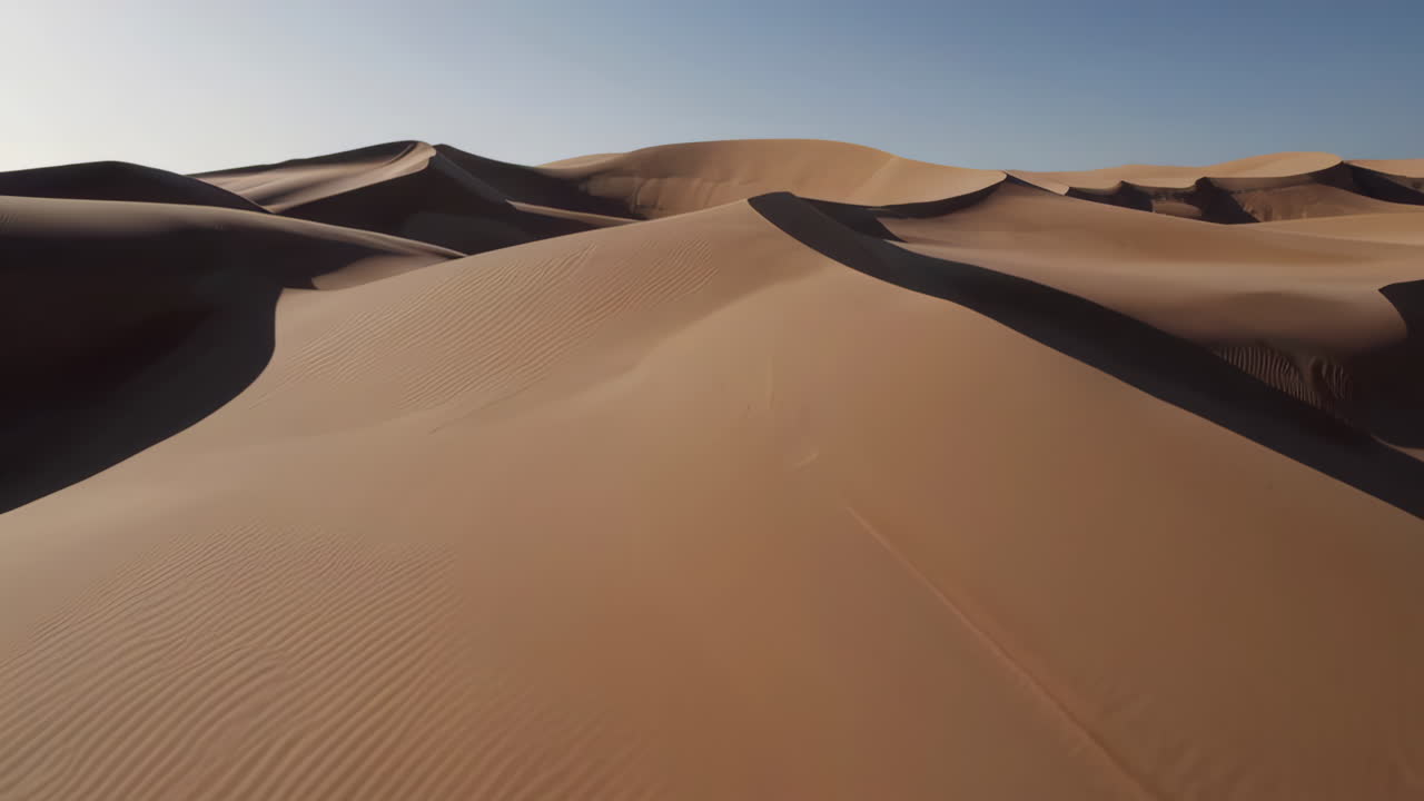 paisaje de dunas de arena del desierto