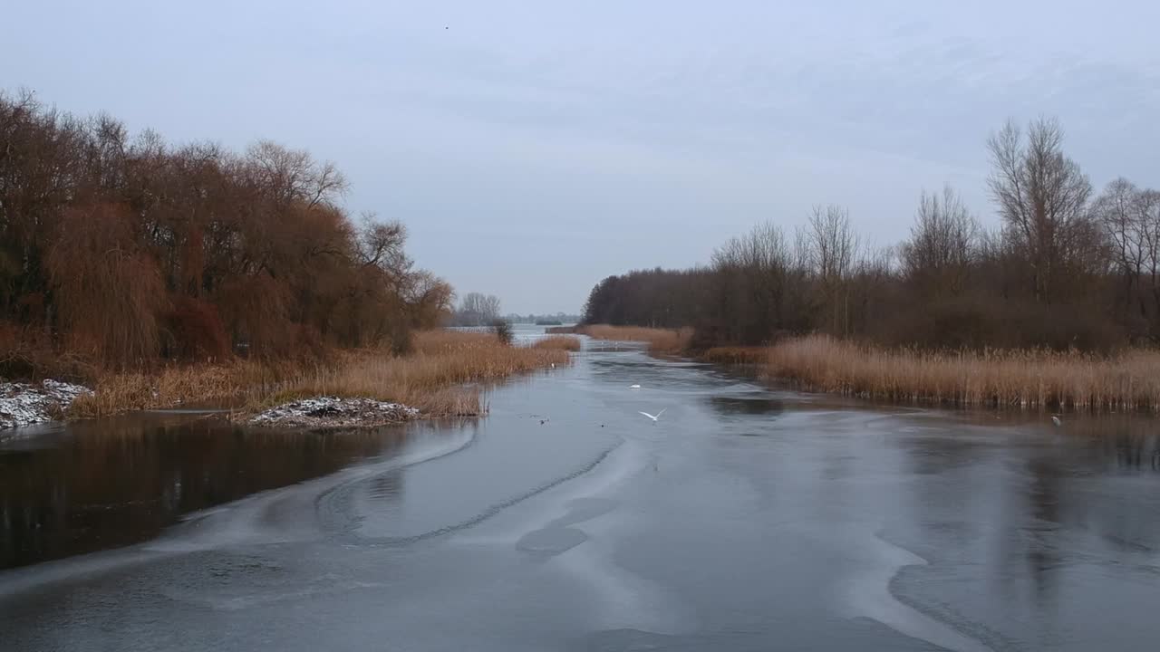 Droneoptagelser ved søen Kis-Balaton om vinteren.