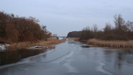 drone footage at the lake kis-balaton in winter