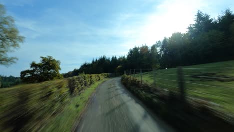 racing drone flying over rural road and forest in french countryside with grazing cows