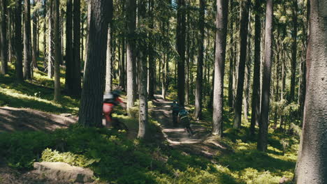 un grupo de tres hombres montando bicicletas de montaña rápidamente por el sendero - toma de cámara cinematográfica en movimiento